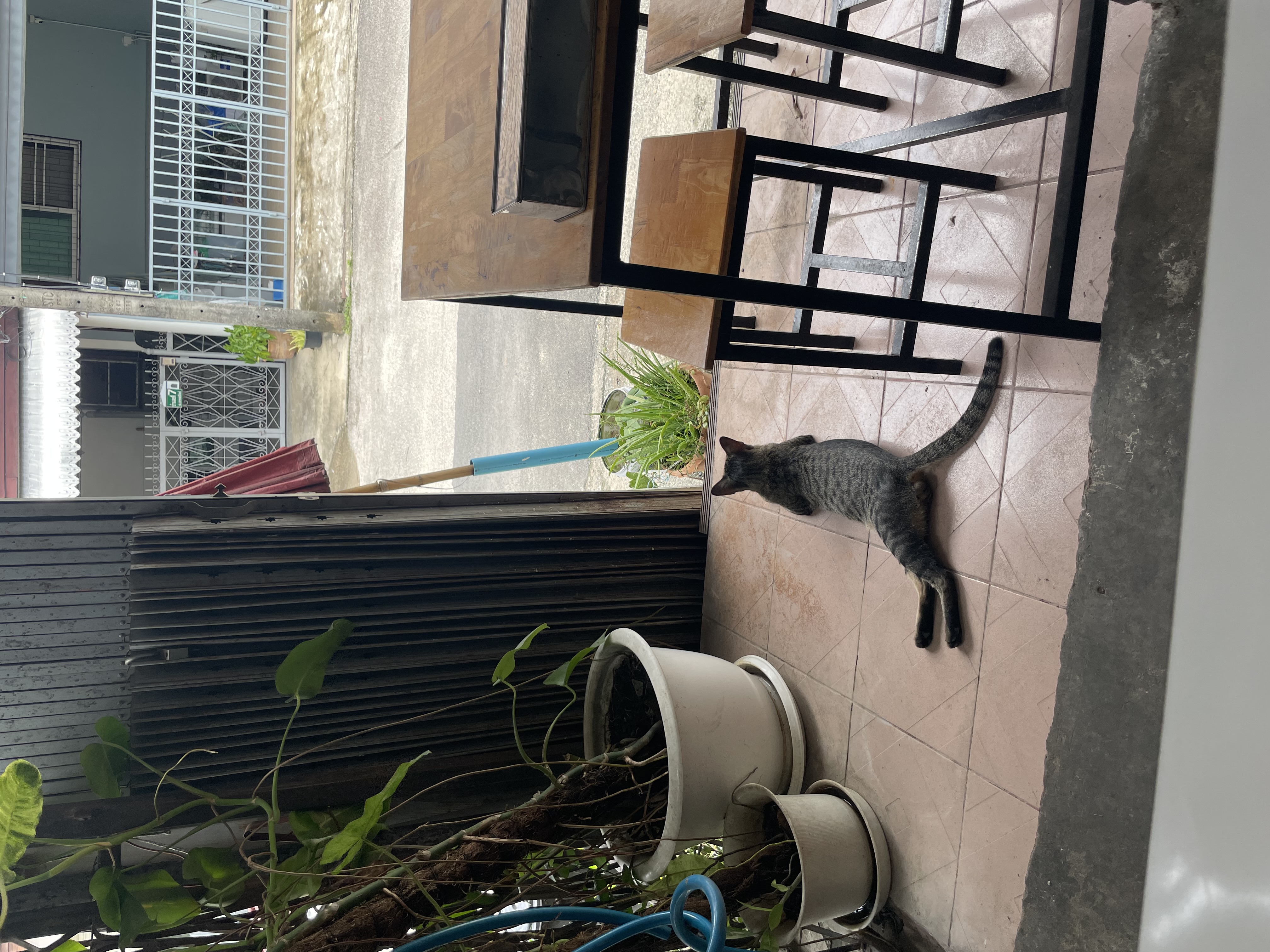 본문 이미지 8