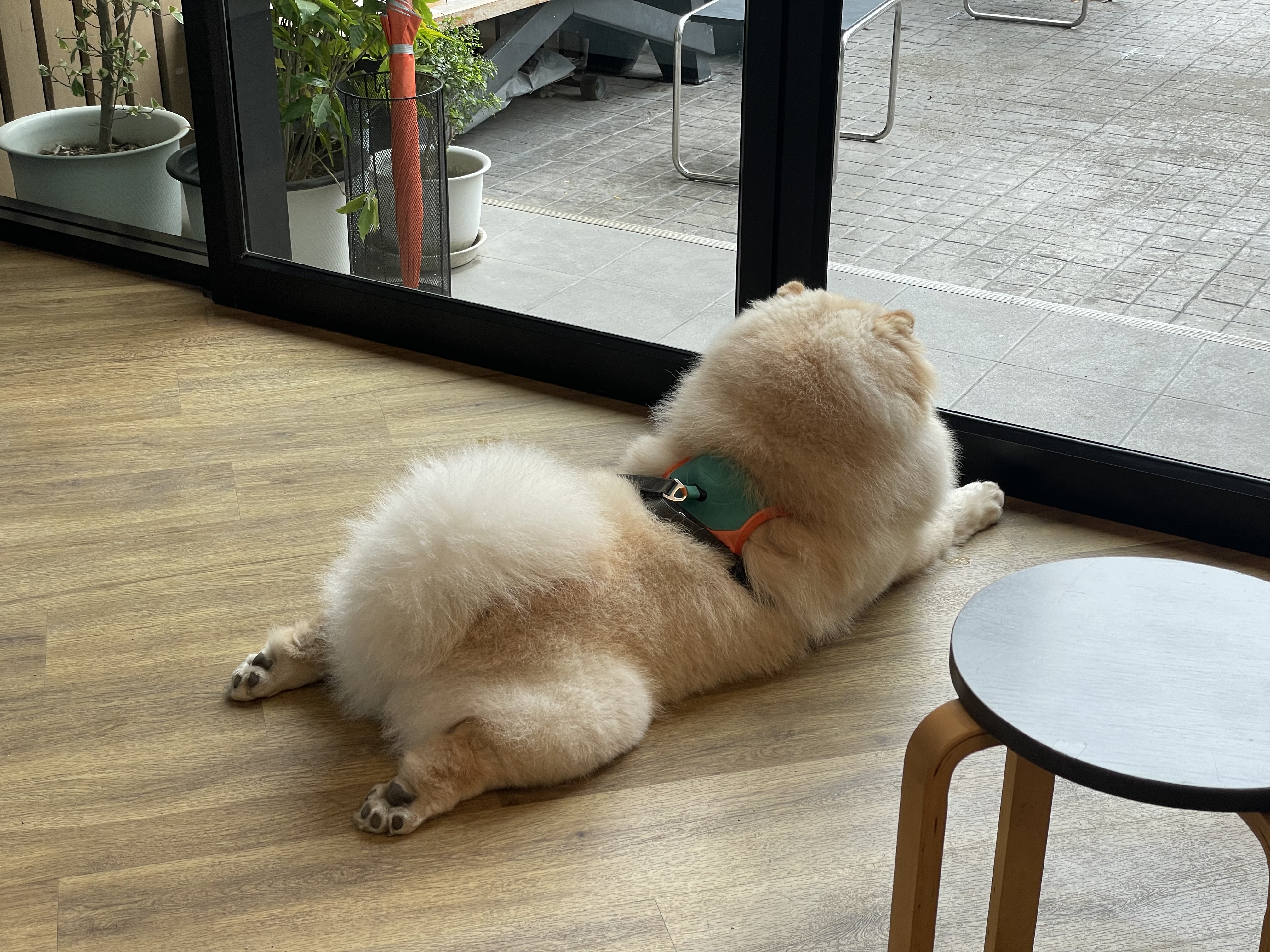 본문 이미지 24