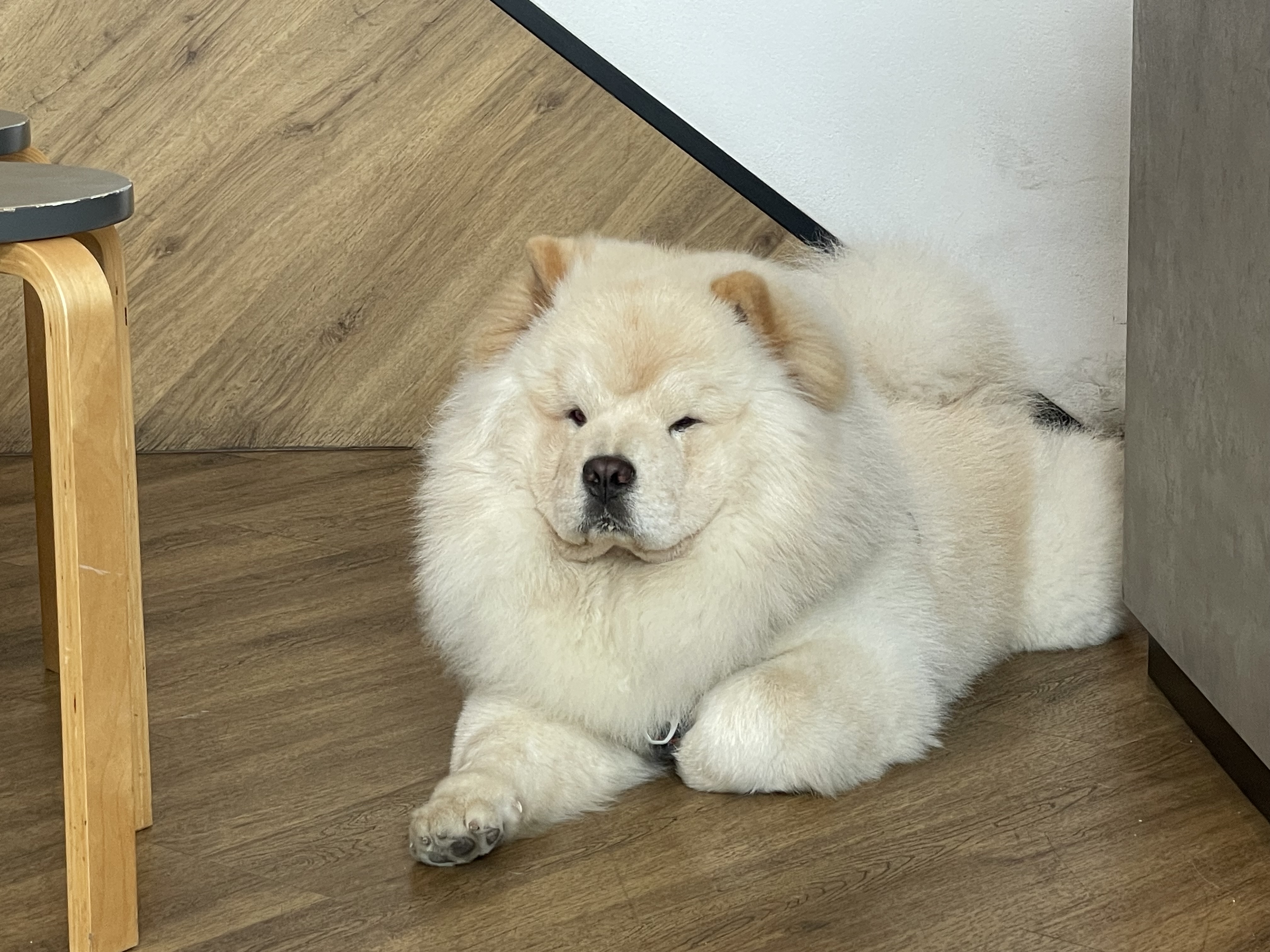 본문 이미지 25